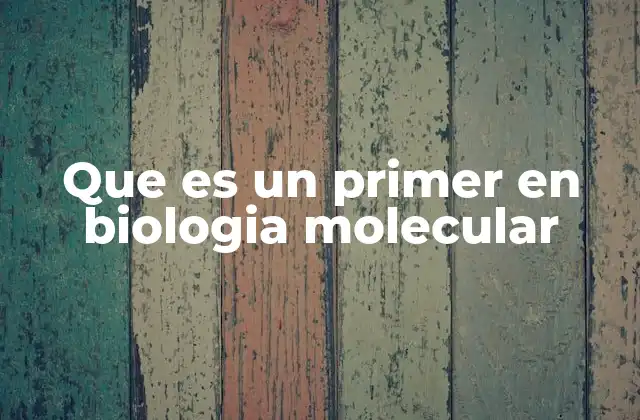 Que es un Primer en Biologia Molecular