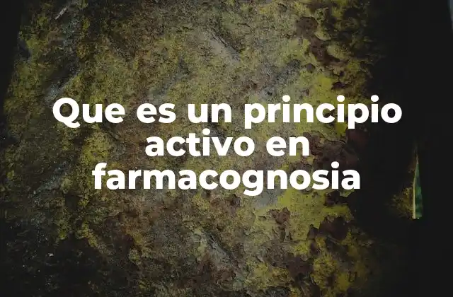 Que es un Principio Activo en Farmacognosia