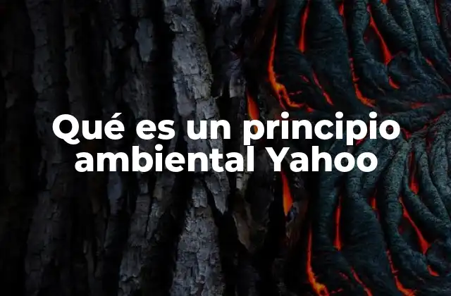 Qué es un Principio Ambiental Yahoo
