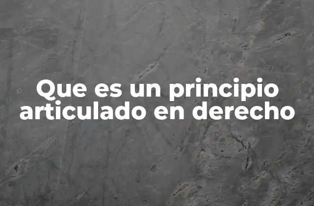 Que es un Principio Articulado en Derecho