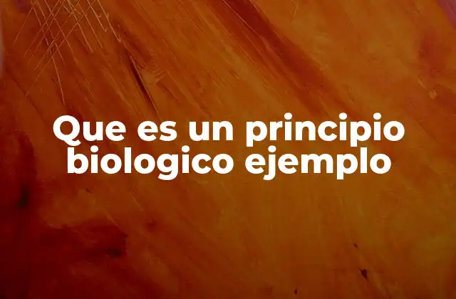 Que es un Principio Biologico Ejemplo