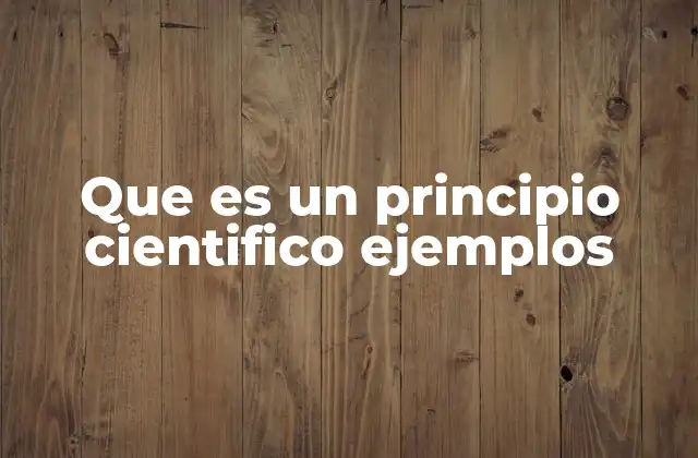 Que es un Principio Cientifico Ejemplos