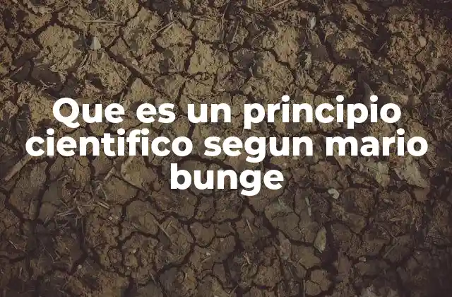 Que es un Principio Cientifico Segun Mario Bunge