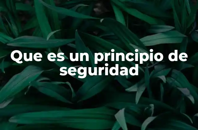 Que es un Principio de Seguridad
