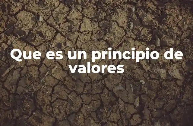 Que es un Principio de Valores