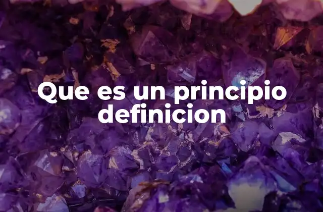 Que es un Principio Definicion