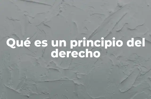 Qué es un Principio Del Derecho