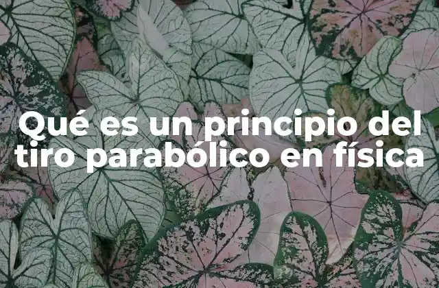 Qué es un Principio Del Tiro Parabólico en Física