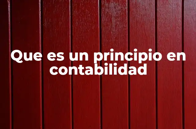 Que es un Principio en Contabilidad