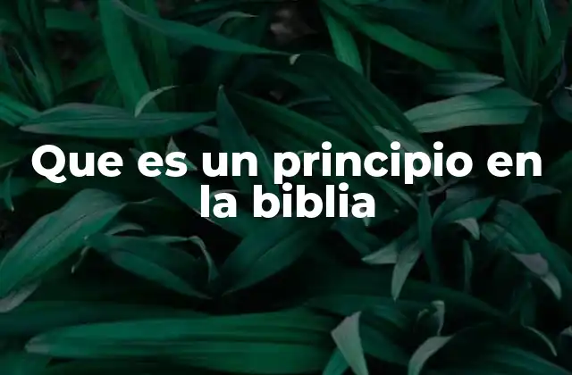 Los principios bíblicos como fundamento de la vida cristiana