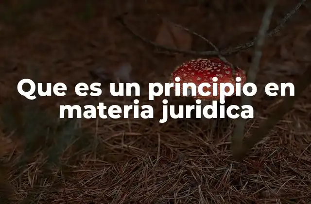 Que es un Principio en Materia Juridica