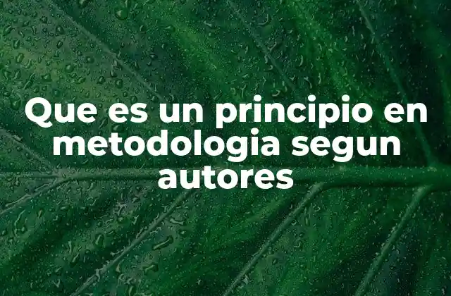 Que es un Principio en Metodologia Segun Autores
