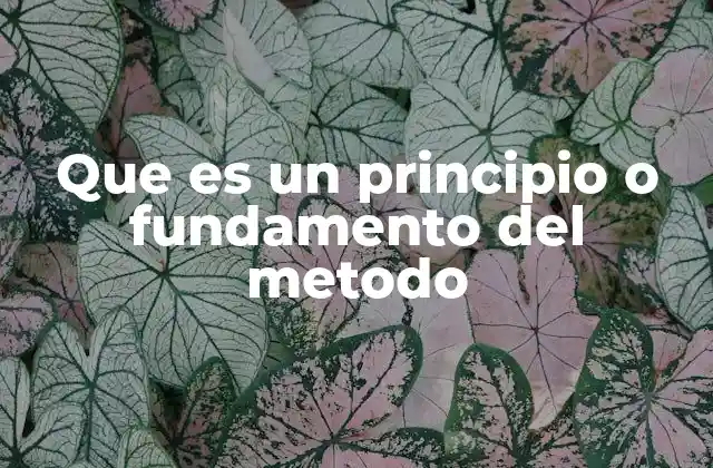 Que es un Principio o Fundamento Del Metodo 2 La importancia de los cimientos en cualquier sistema de trabajo