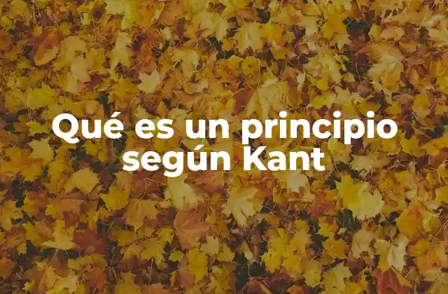 Qué es un Principio según Kant
