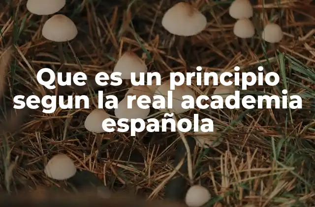 Que es un Principio Segun la Real Academia Española