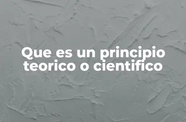 Que es un Principio Teorico o Cientifico