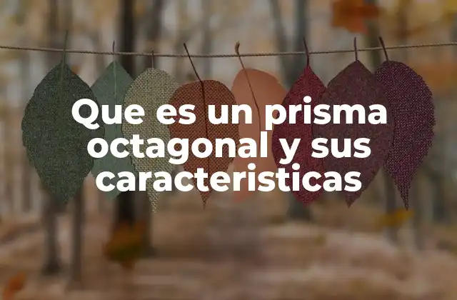 Que es un Prisma Octagonal y Sus Caracteristicas 2 Características generales de los prismas geométricos