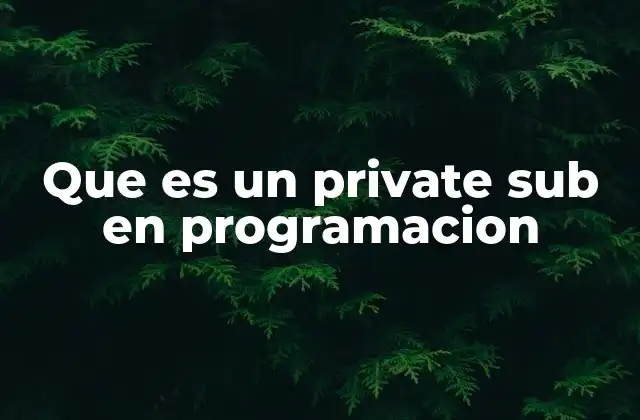 Que es un Private Sub en Programacion