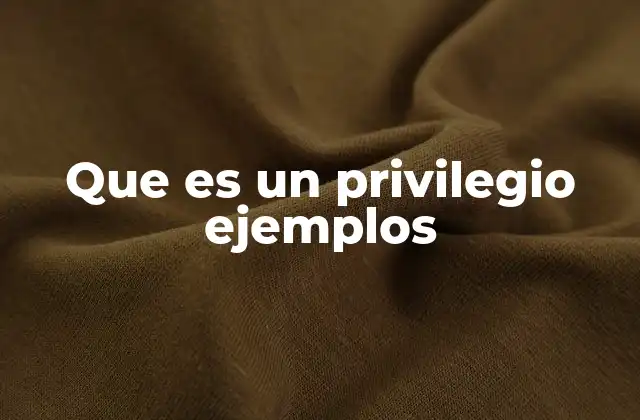 Que es un Privilegio Ejemplos