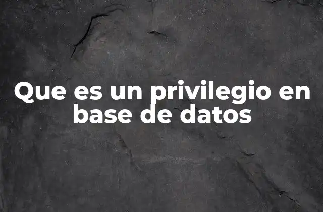 Que es un Privilegio en Base de Datos