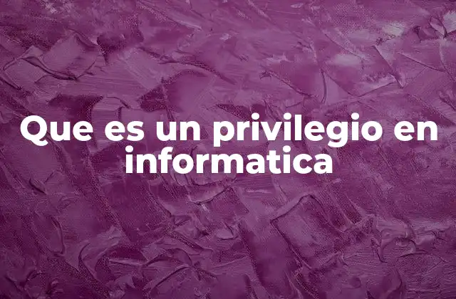 Que es un Privilegio en Informatica