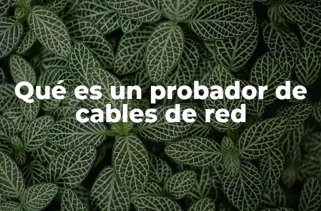 Qué es un Probador de Cables de Red