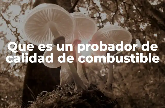 Que es un Probador de Calidad de Combustible