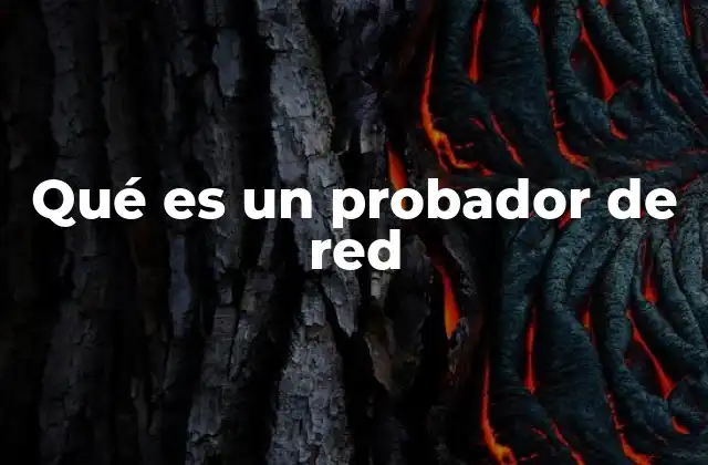 Qué es un Probador de Red