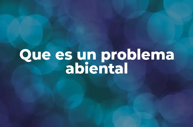 Que es un Problema Abiental