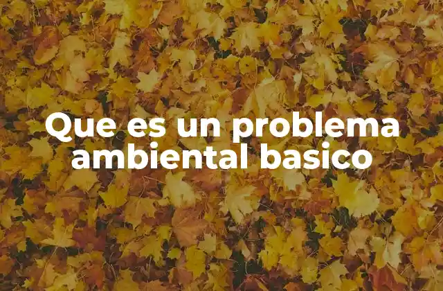 Que es un Problema Ambiental Basico
