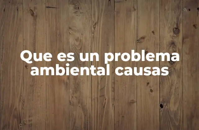 Que es un Problema Ambiental Causas