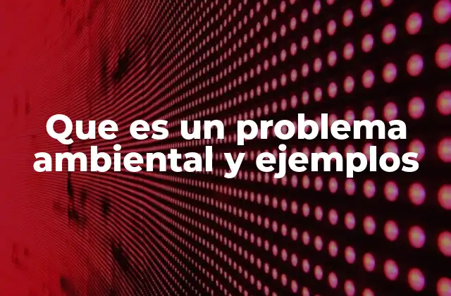 Que es un Problema Ambiental y Ejemplos