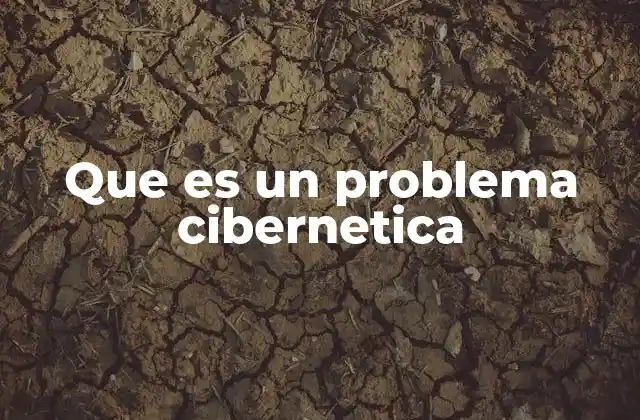 Que es un Problema Cibernetica