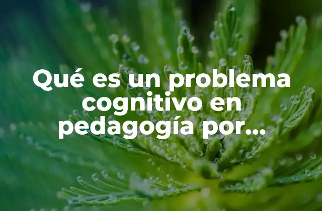 Qué es un Problema Cognitivo en Pedagogía por Proyectos