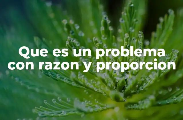 Que es un Problema con Razon y Proporcion 2 La importancia de resolver problemas con razonamiento proporcional