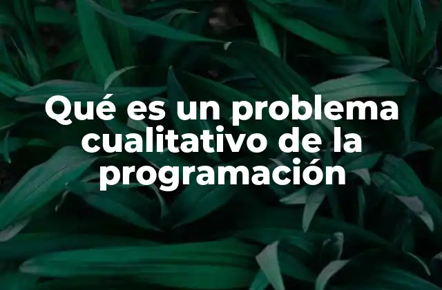 Qué es un Problema Cualitativo de la Programación