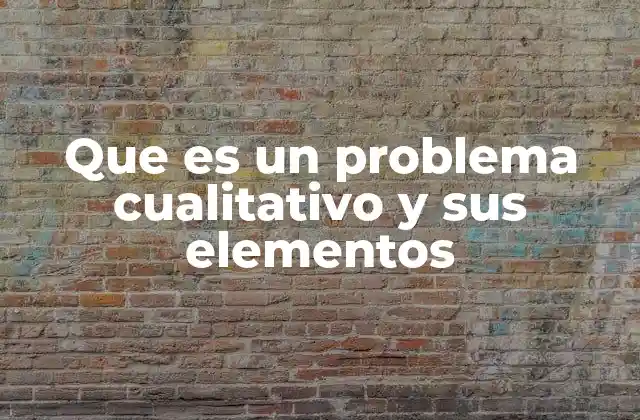 Que es un Problema Cualitativo y Sus Elementos