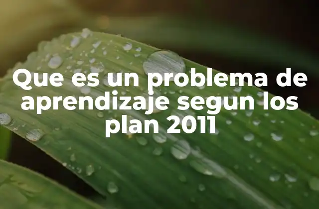 Identificación de las dificultades escolares según el Plan 2011