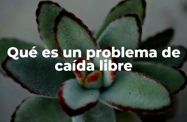Qué es un Problema de Caída Libre