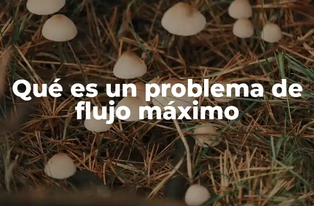 Qué es un Problema de Flujo Máximo 2 Aplicaciones de los problemas de flujo máximo en la vida real