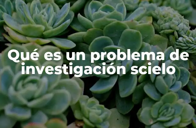 Qué es un Problema de Investigación Scielo