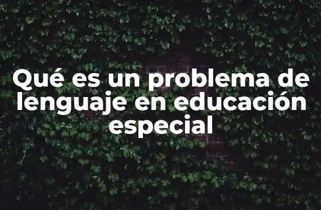 Qué es un Problema de Lenguaje en Educación Especial