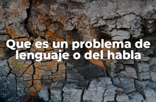 Que es un Problema de Lenguaje o Del Habla