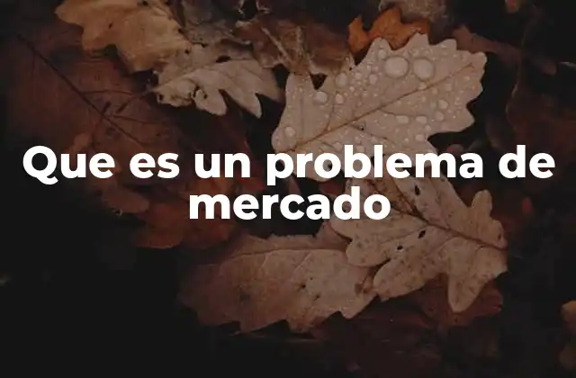 Que es un Problema de Mercado