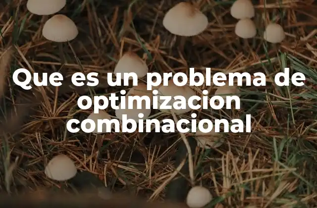 Que es un Problema de Optimizacion Combinacional 2 ¿Cómo se diferencia de otros tipos de problemas de optimización?