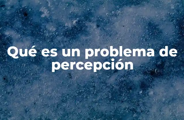 Qué es un Problema de Percepción