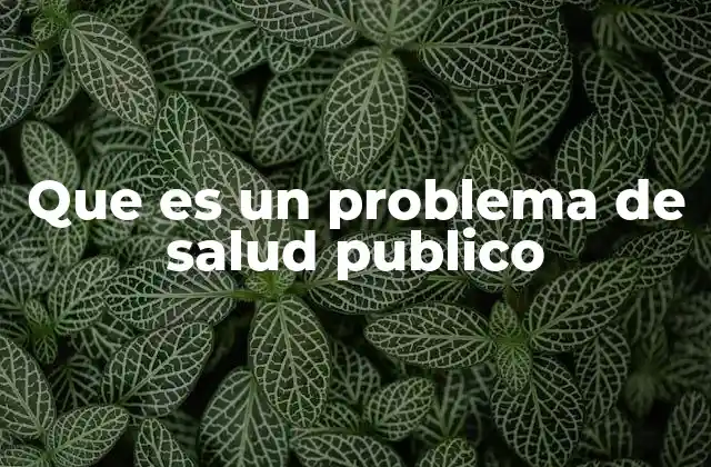 Que es un Problema de Salud Publico
