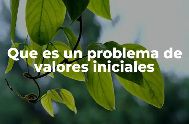 Que es un Problema de Valores Iniciales