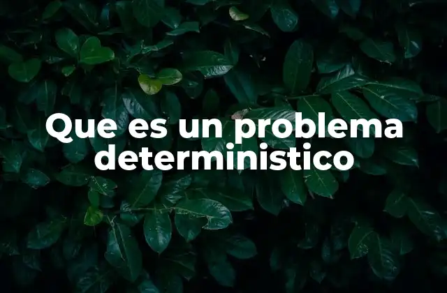 Que es un Problema Deterministico