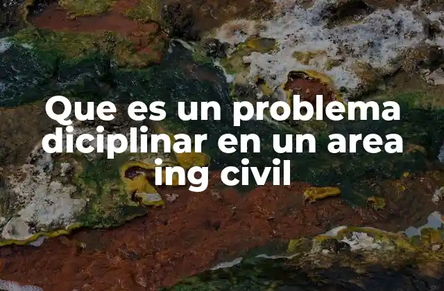 Que es un Problema Diciplinar en un Area Ing Civil